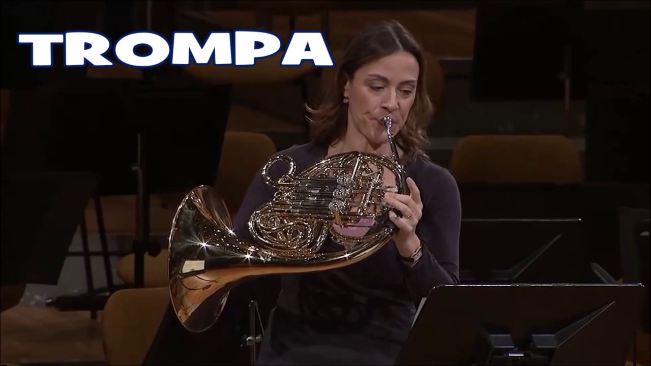ORGANOLOG&Iacute;A M&Uacute;SICA CL&Aacute;SICA VIENTO METAL