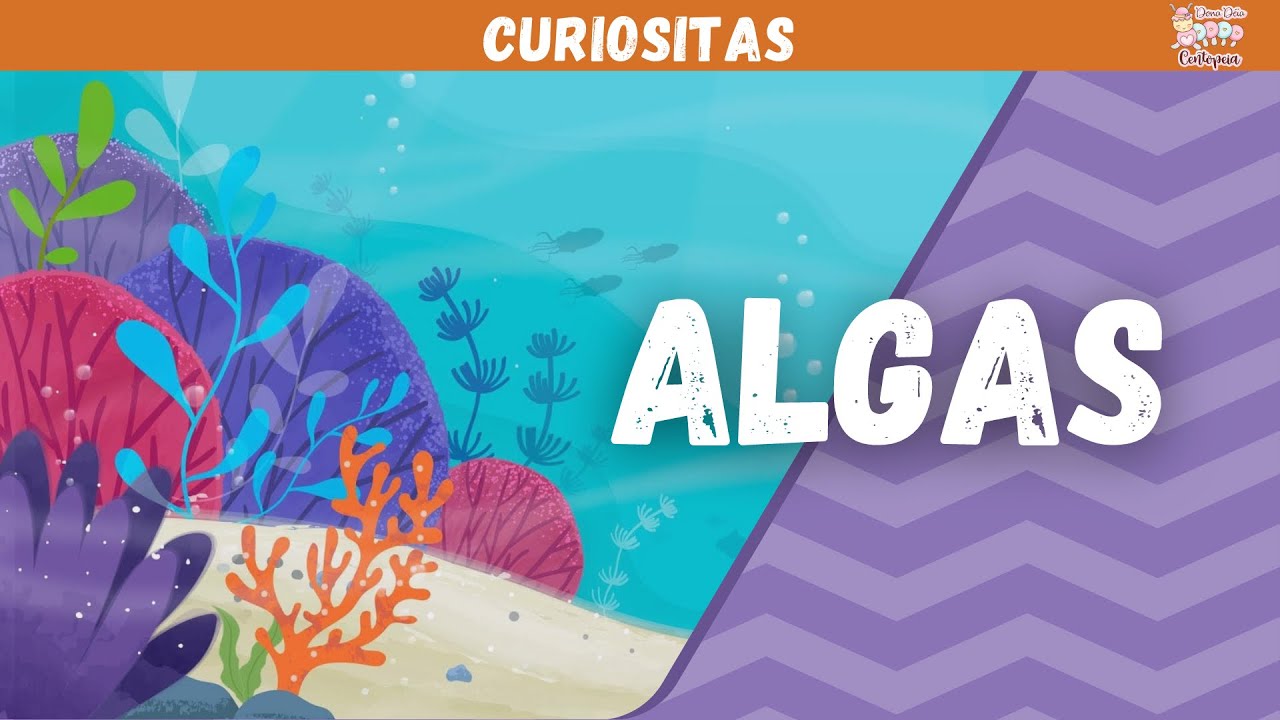 O que s&atilde;o as algas? | Curiositas