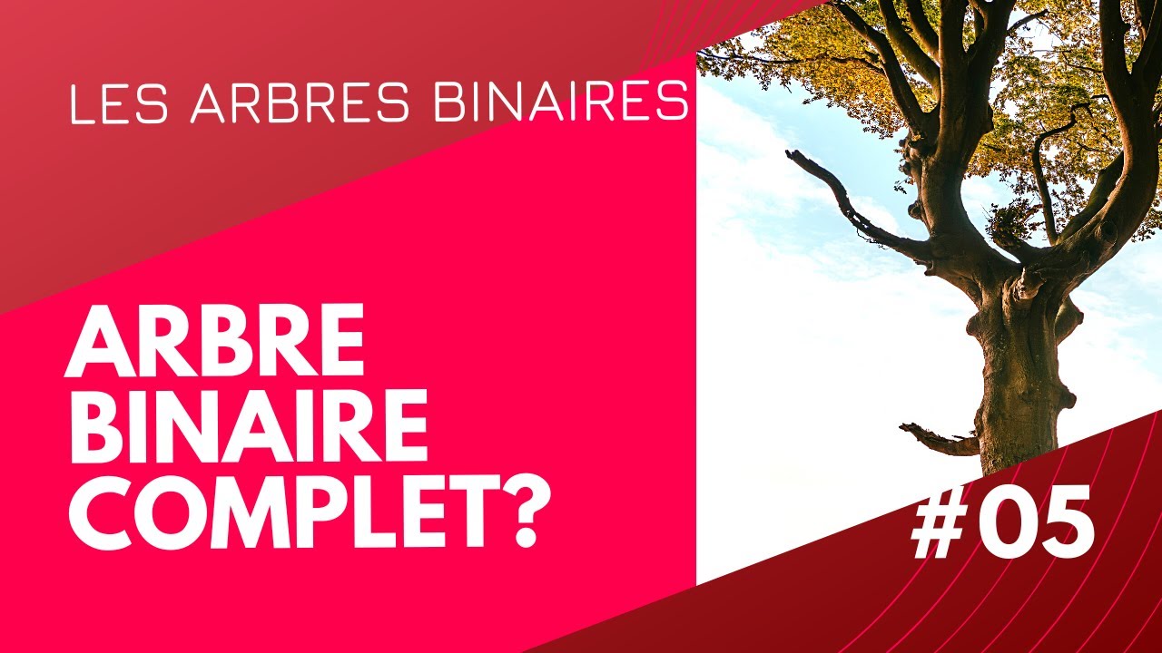 #05 - Arbre Binaire Complet ? fonction de vérification