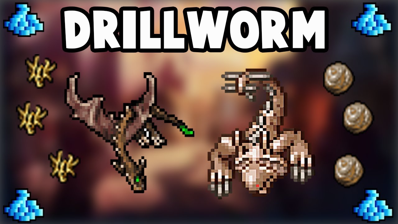 PALADIN LVL 105 HUNT DRILLWORM FREE ACCOUNT