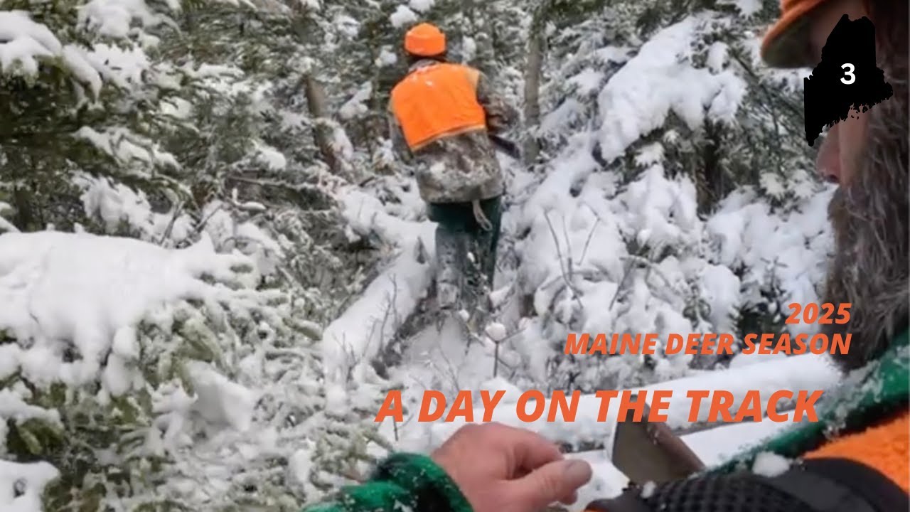 MAINE DEER SEASON 2025 | A DAY ON THE TRACK
