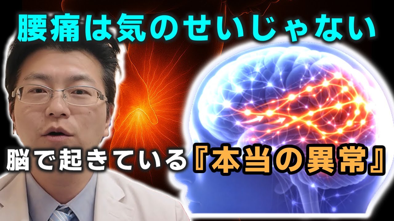 腰痛は気のせいじゃない｜脳科学でわかった慢性腰痛の本当の原因【整形外科専門医が解説】