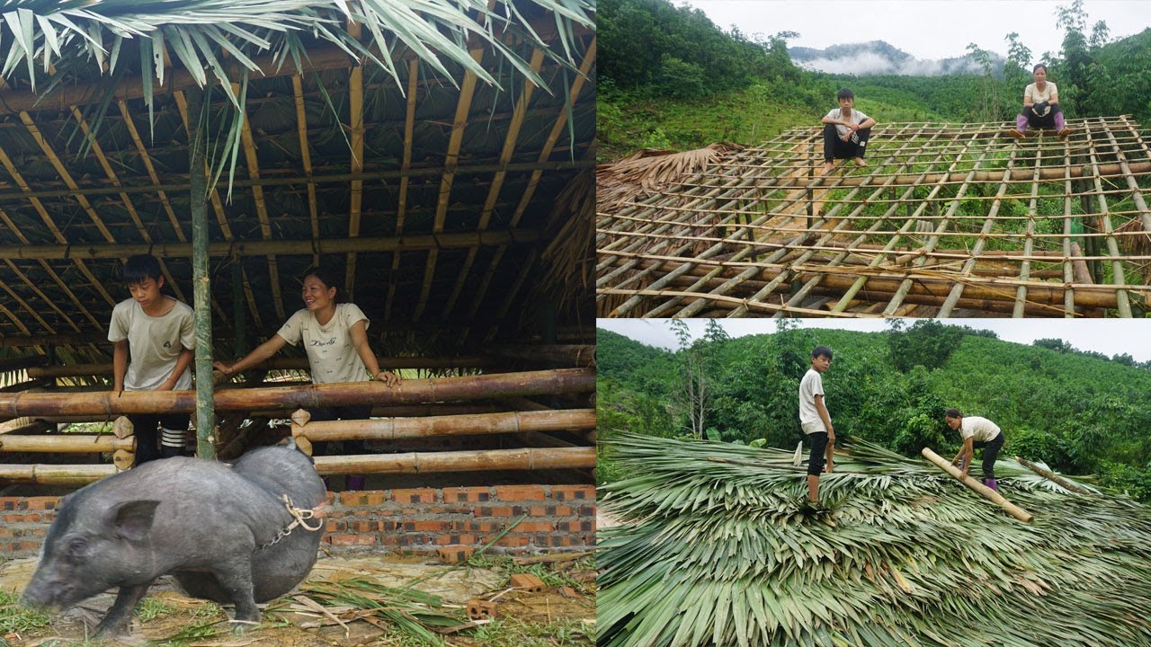 Full video: 110 Days building pig house, Build palm leaf roofs, brick wall - Poor family build farm