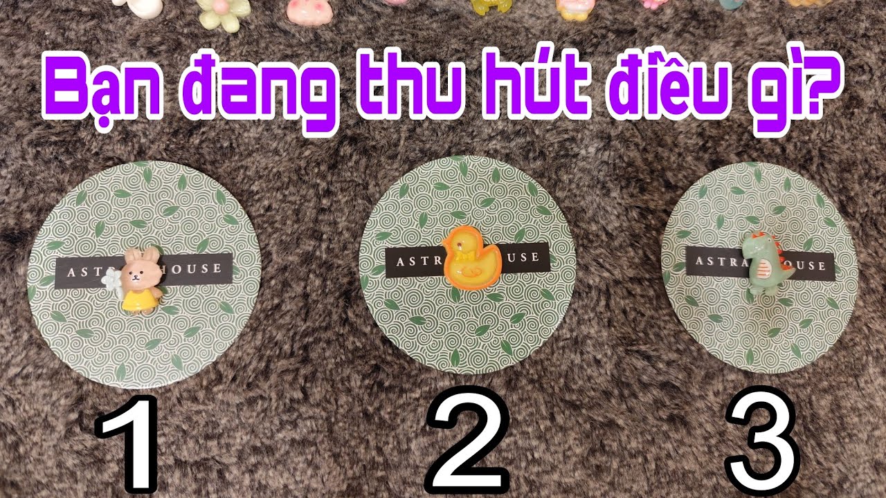 Bạn đang thu hút điều gì?