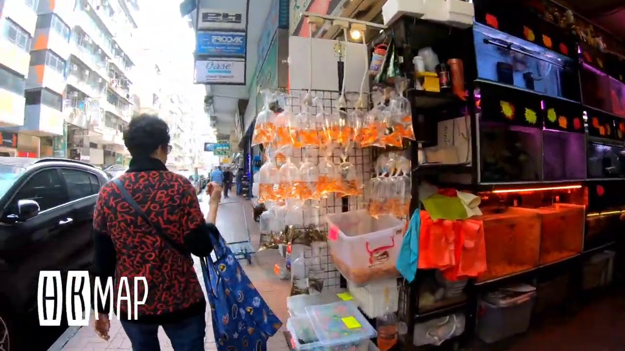 2021-Jan-27 香港記錄•旺角 ❝很久未見過冷清的旺角街頭❞#HongKongWalk Mong Kok 
