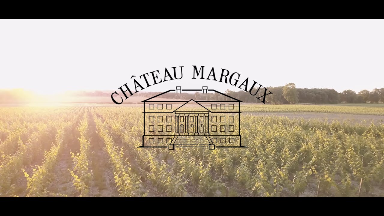 Un Millésime au Château Margaux
