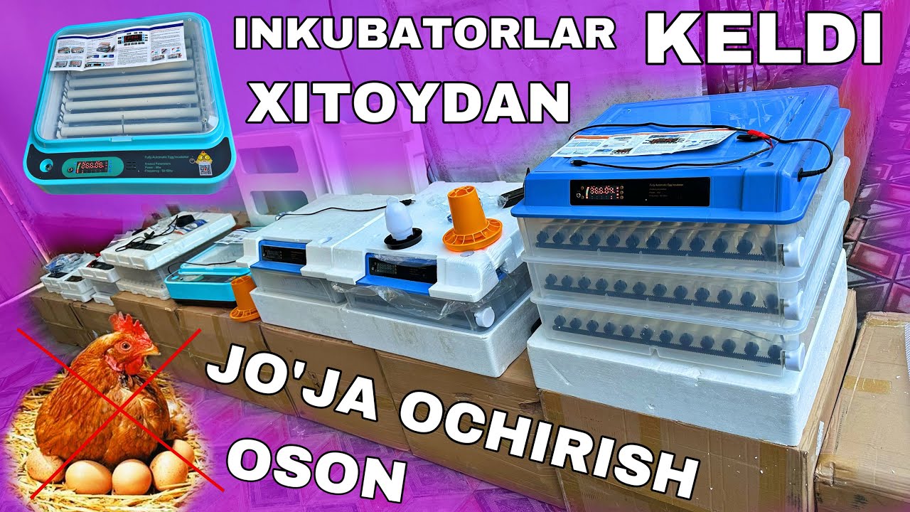 ХИТОЙДАН ЯНГИЛИК ИНКУБАТОРЛАР КЕЛДИ 2025 ☎️+998972327303 ЖЎЖА ОЧИРИШ УЧУН ИНКУБАТОР