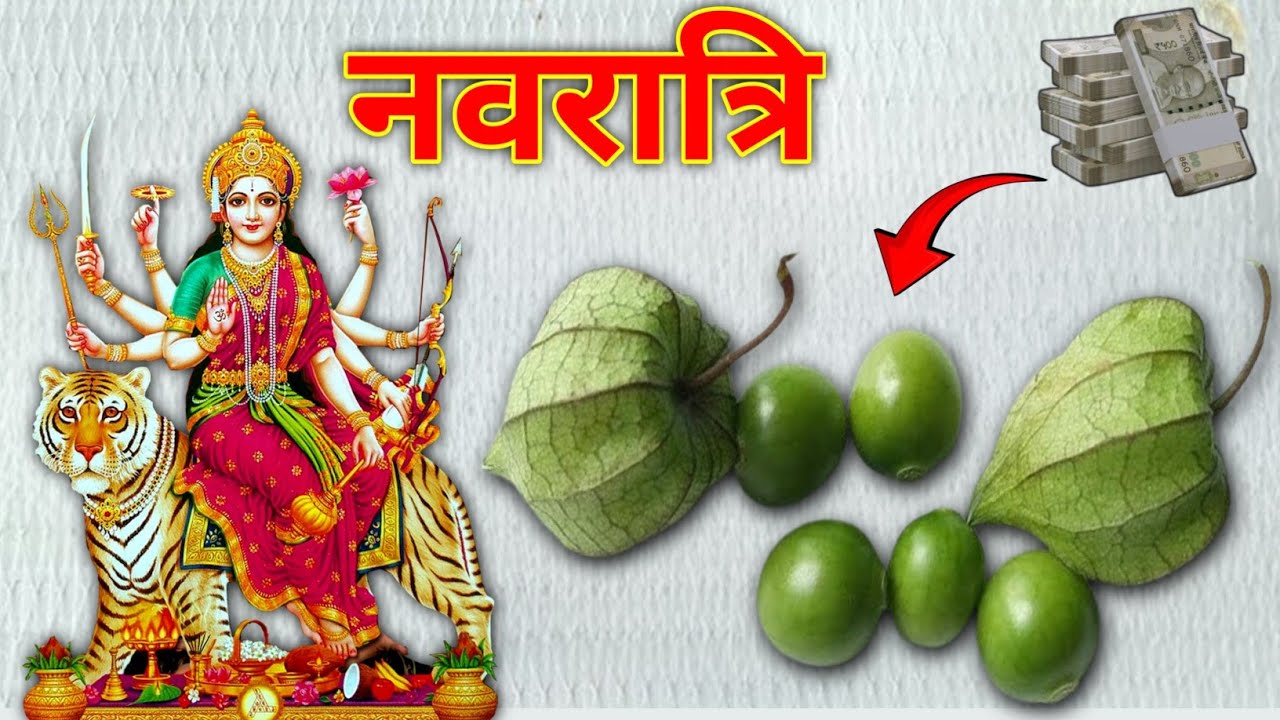 19 मार्च चैत्र नवरात्रि तिथि वाले दिन गले में पहन लेना ये जड़ । Pradeep mishraji