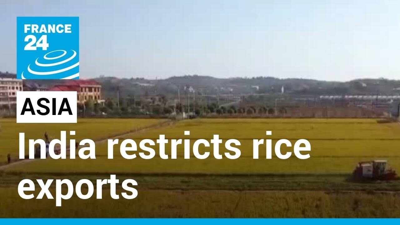 India's rice export curbs paralyse trade in Asia as prices rise &bull; FRANCE 24 English