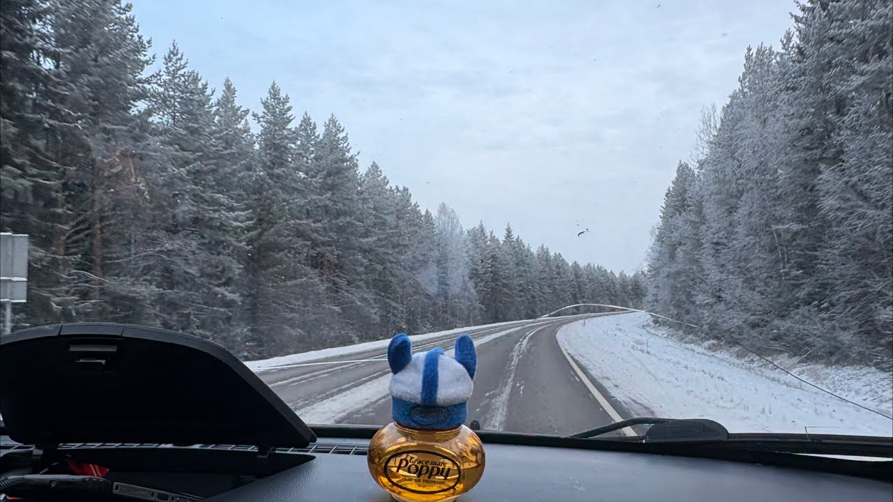DRIVING TO SWEDEN (ROAD TRIP!)