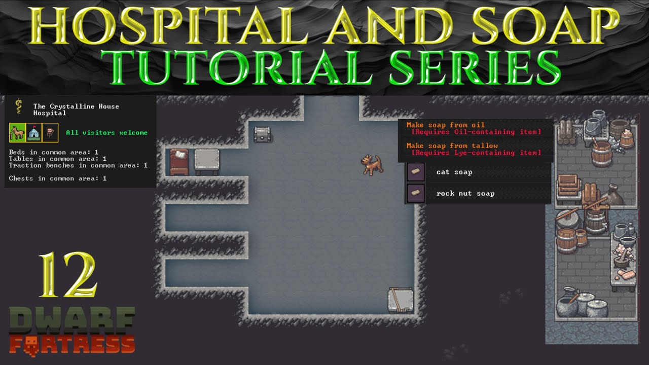 HOSPITAL AND SOAP PRODUCTION - Full DWARF FORTRESS Guide Ep 12