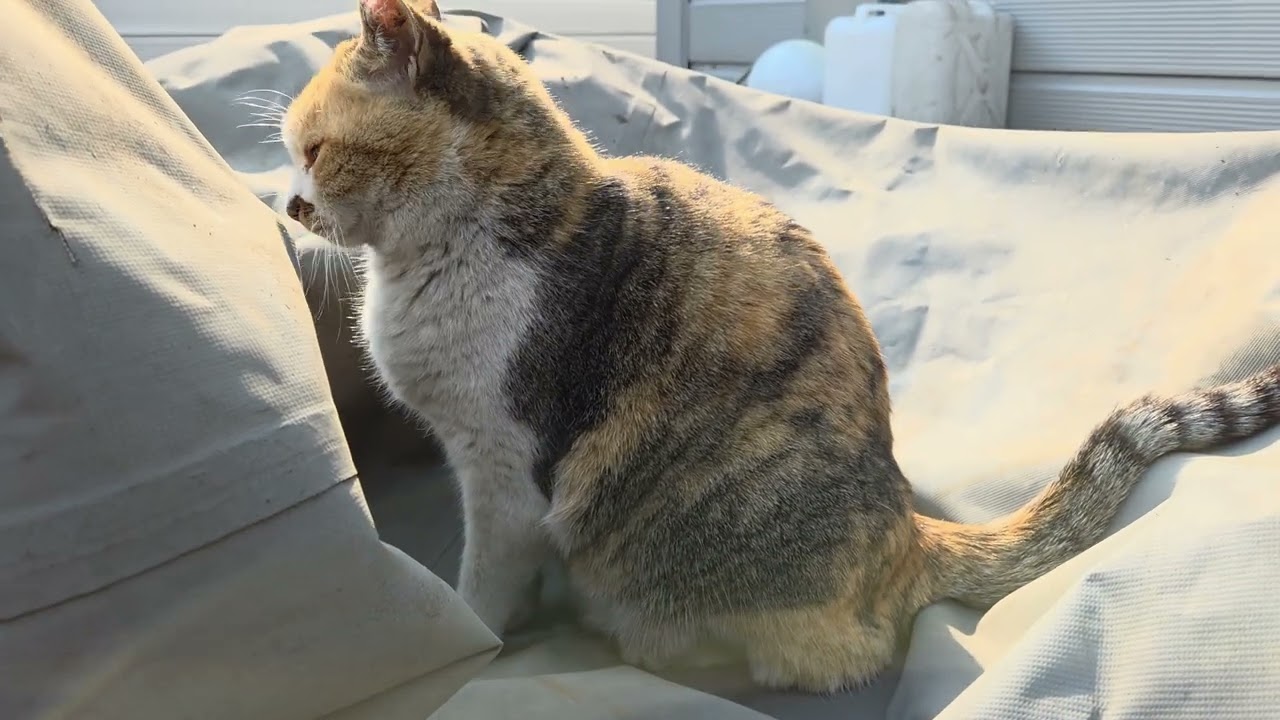 삼순씨 휴식시간 입니다😻