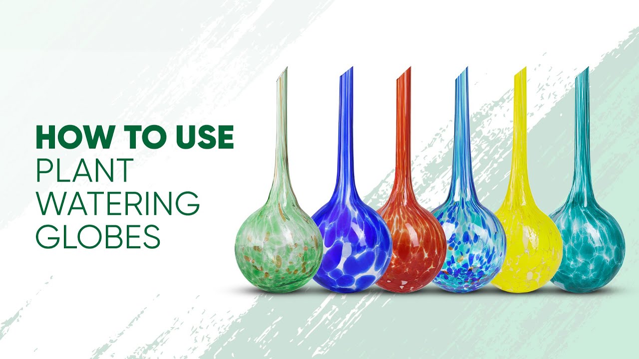 Instructions on How to Use Plant Watering Globes