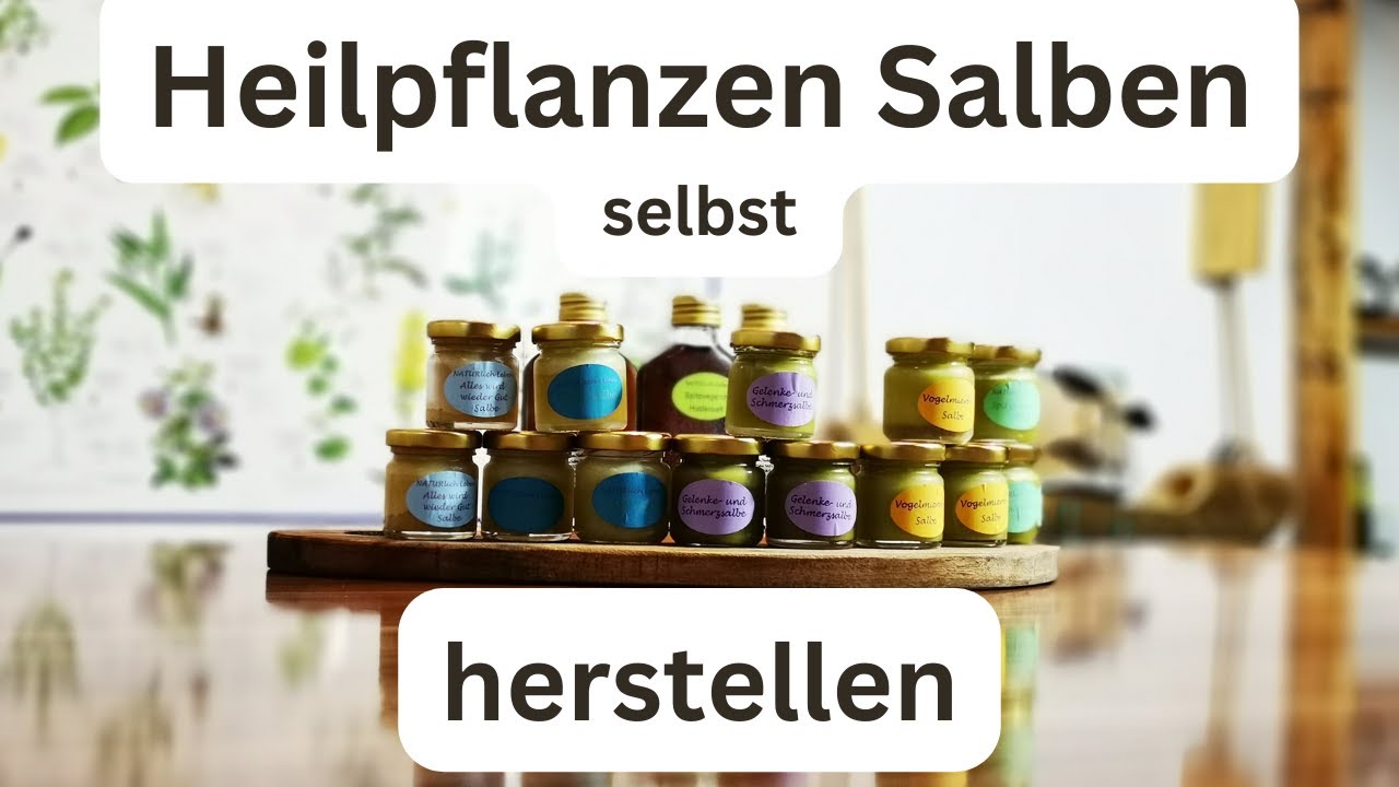 Heilpflanzen-Salben selbst herstellen - Die Spitzwegerich-Salbe