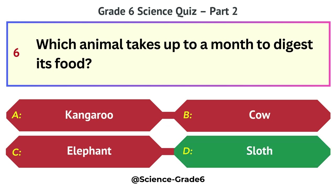 Grade 6 Science Quiz &ndash; Part 2/10 | 10 MCQs to Test Knowledge Across Key Science Topics