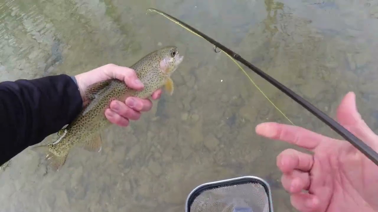 Kentucky's Otter Creek