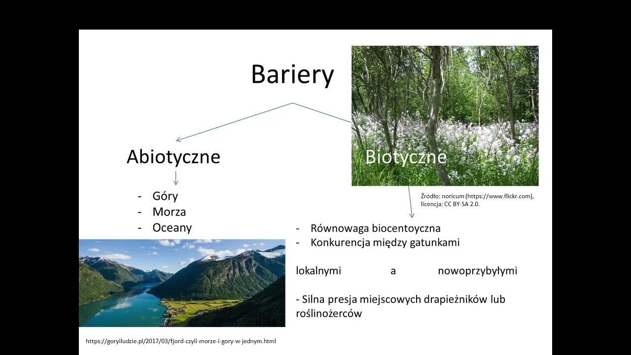 Rośliny inwazyjne w sąsiedztwie. #NocBiologów
