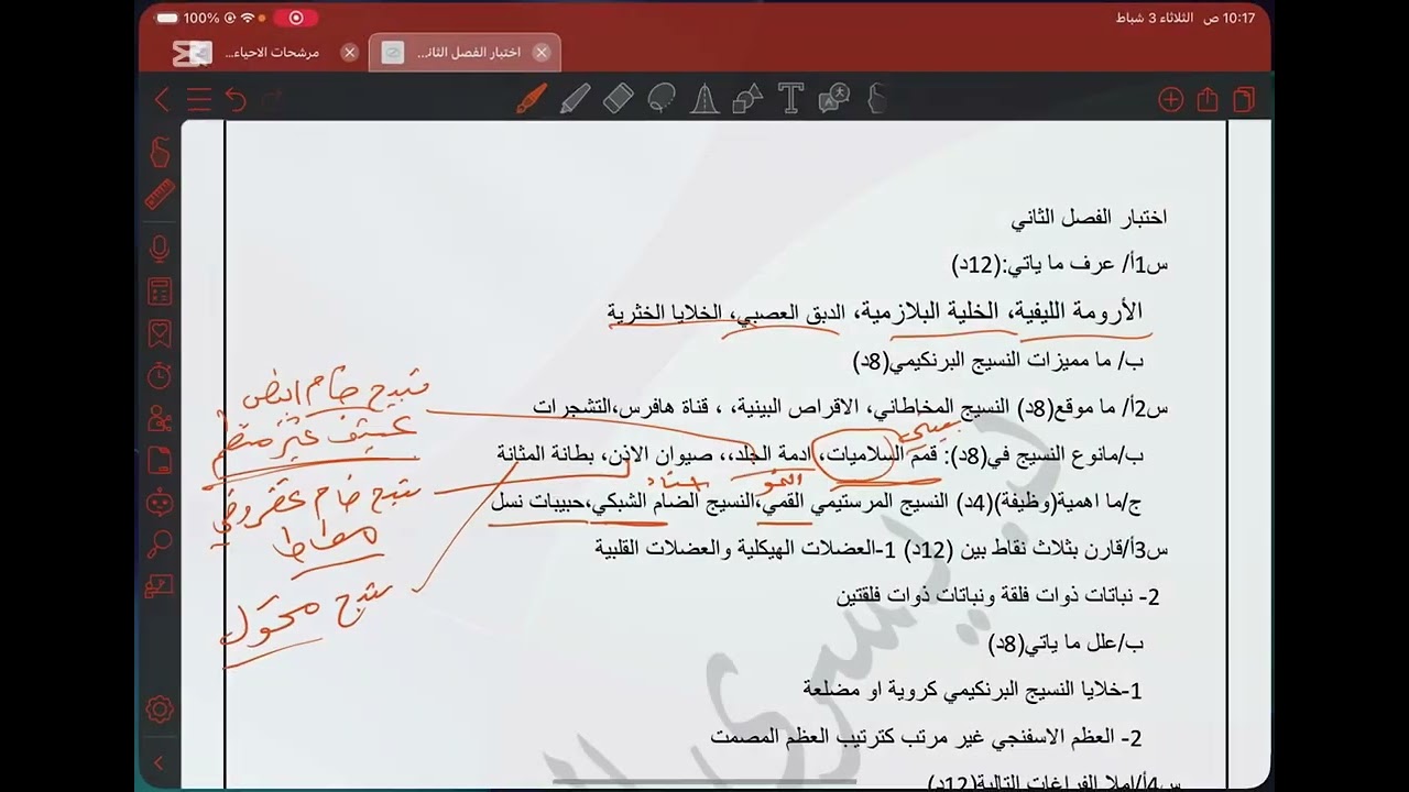 حل اختبار الفصل الثاني الانسجة ( التمهيدي)