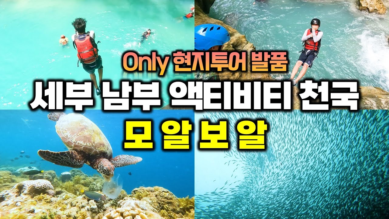🇵🇭 세부 남부 모알보알에서 현지투어 발품팔아 초저가로 액티비티 해보기 - 필리핀 한달 여행 [19] / 가와산캐녀닝 / 모알보알 거북이 정어리떼 스노클링 / 모알보알에서 세부