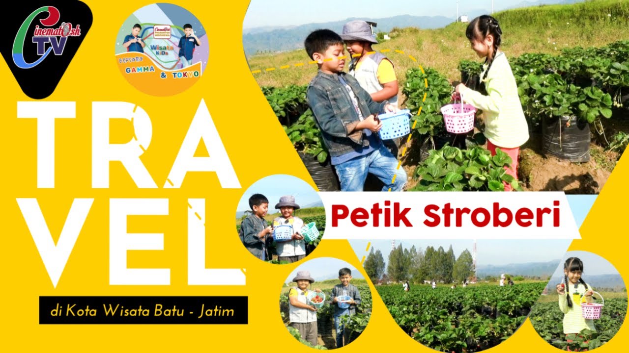 Wisata Petik Stroberi di Kota Batu - Jatim