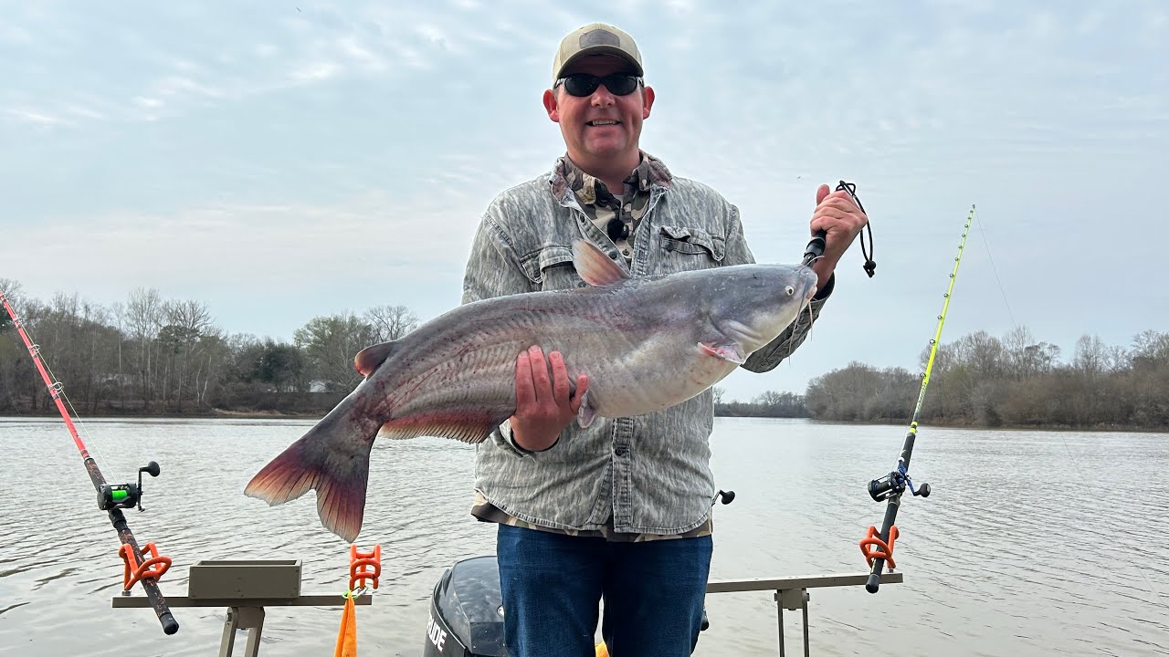 Luck Was On Our Side #bluecat #fishing #catfish 