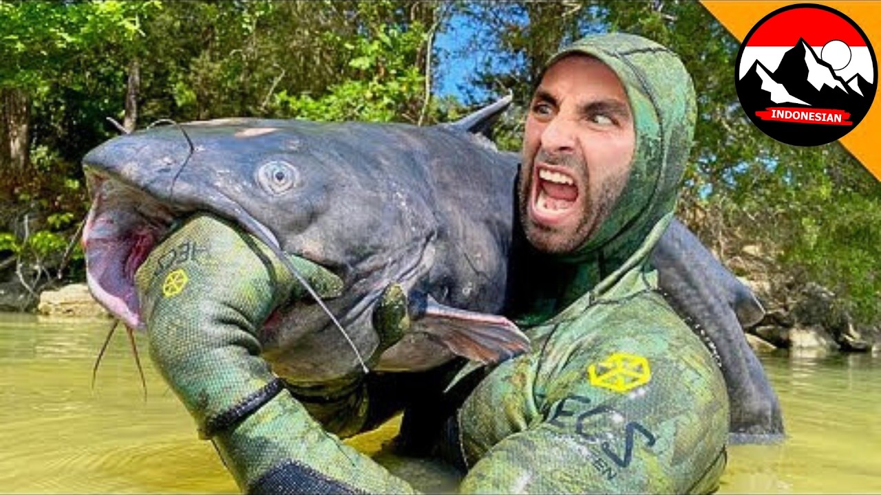 Digigit Ikan Lele Raksasa! Coyote Menangkap Lele dengan Tangan!