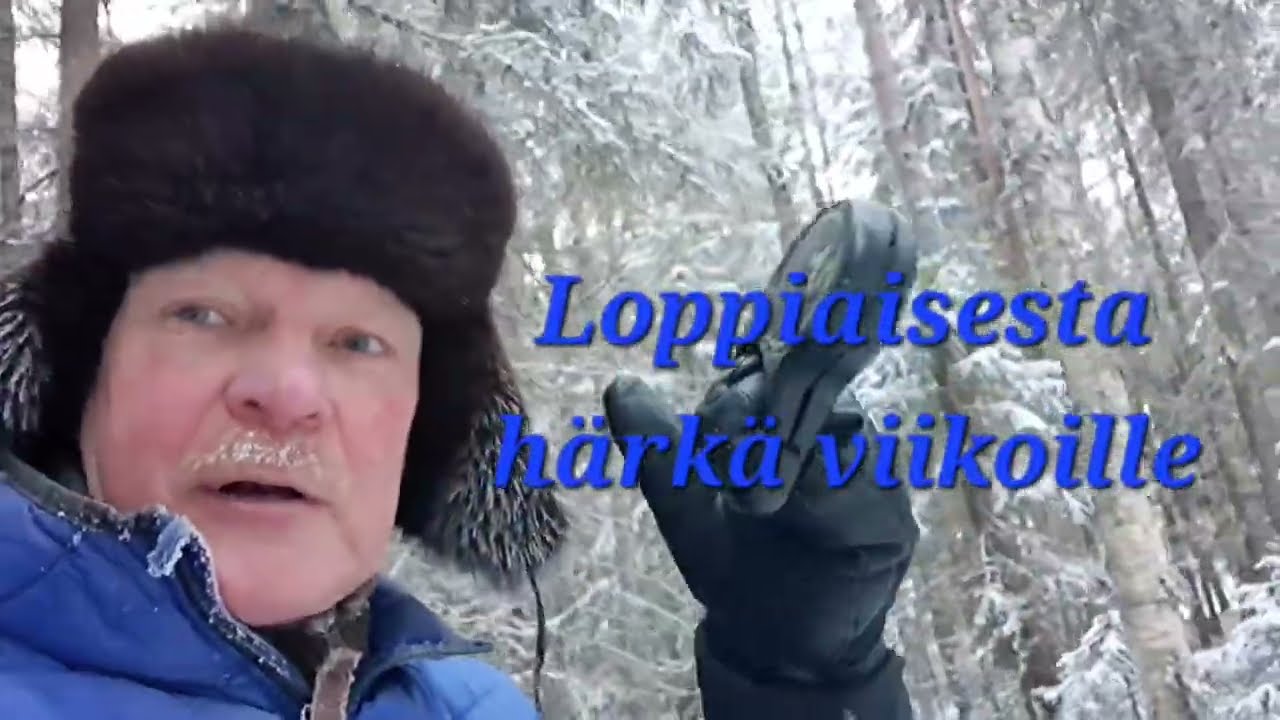 LOPPIAISESTA HÄRKÄ VIIKOILLE PAKKASTA -26C 