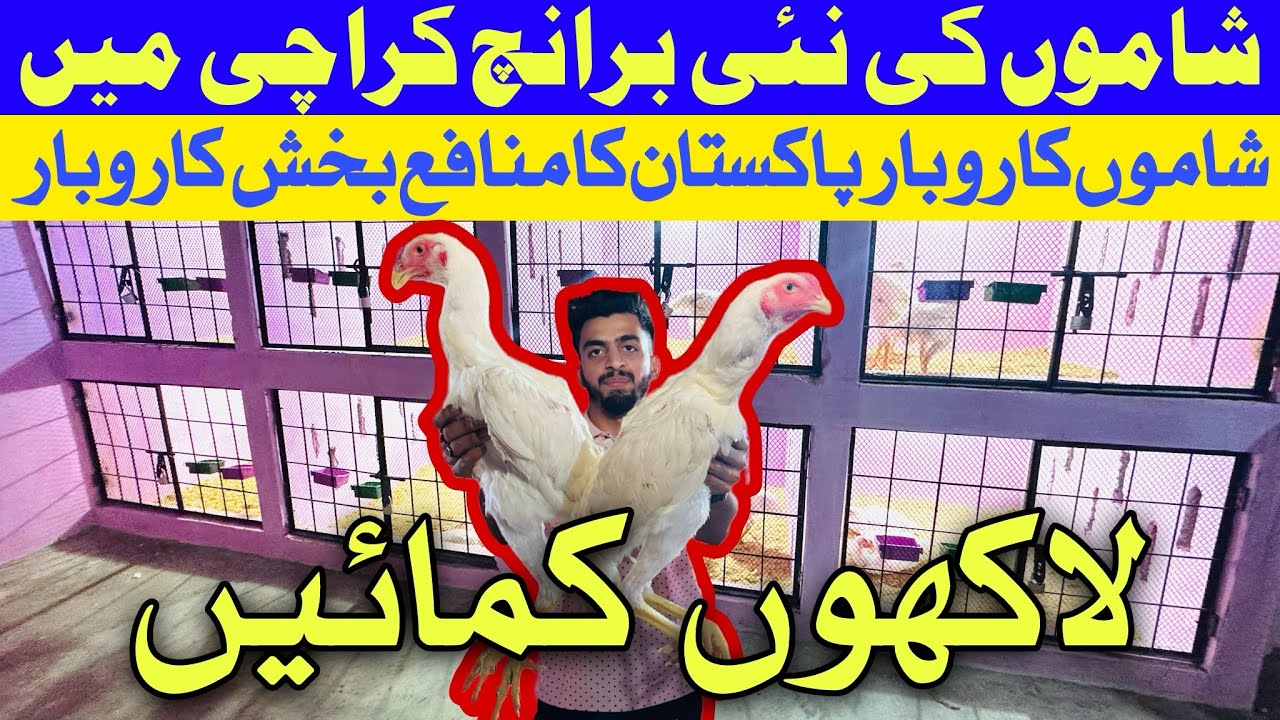 Karachi Mien New Branch ki Opening Kr Dee || Beginners Ne Apna Business Start kr Lia 😍