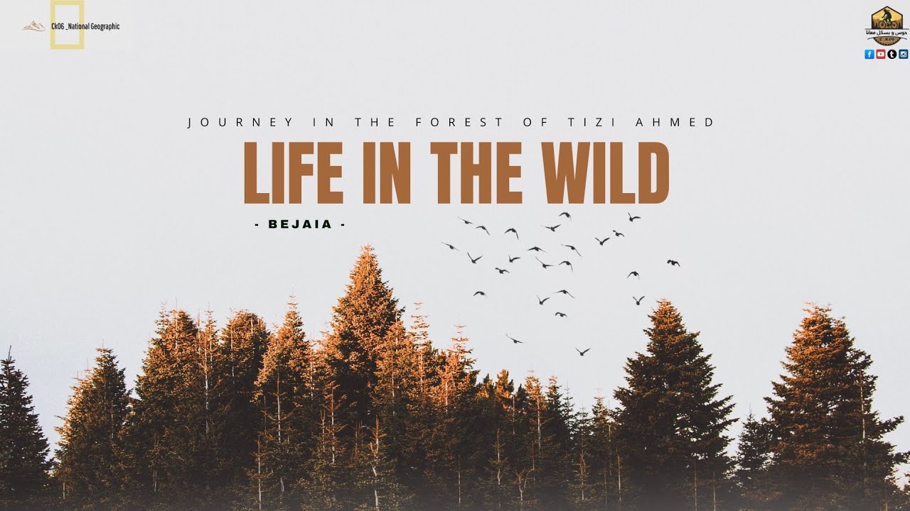 [ LIFE IN THE WILD ] فيلم وثائقي قصير عن الحياة البرية بأسلوب ناشيونال جيوغرافيك