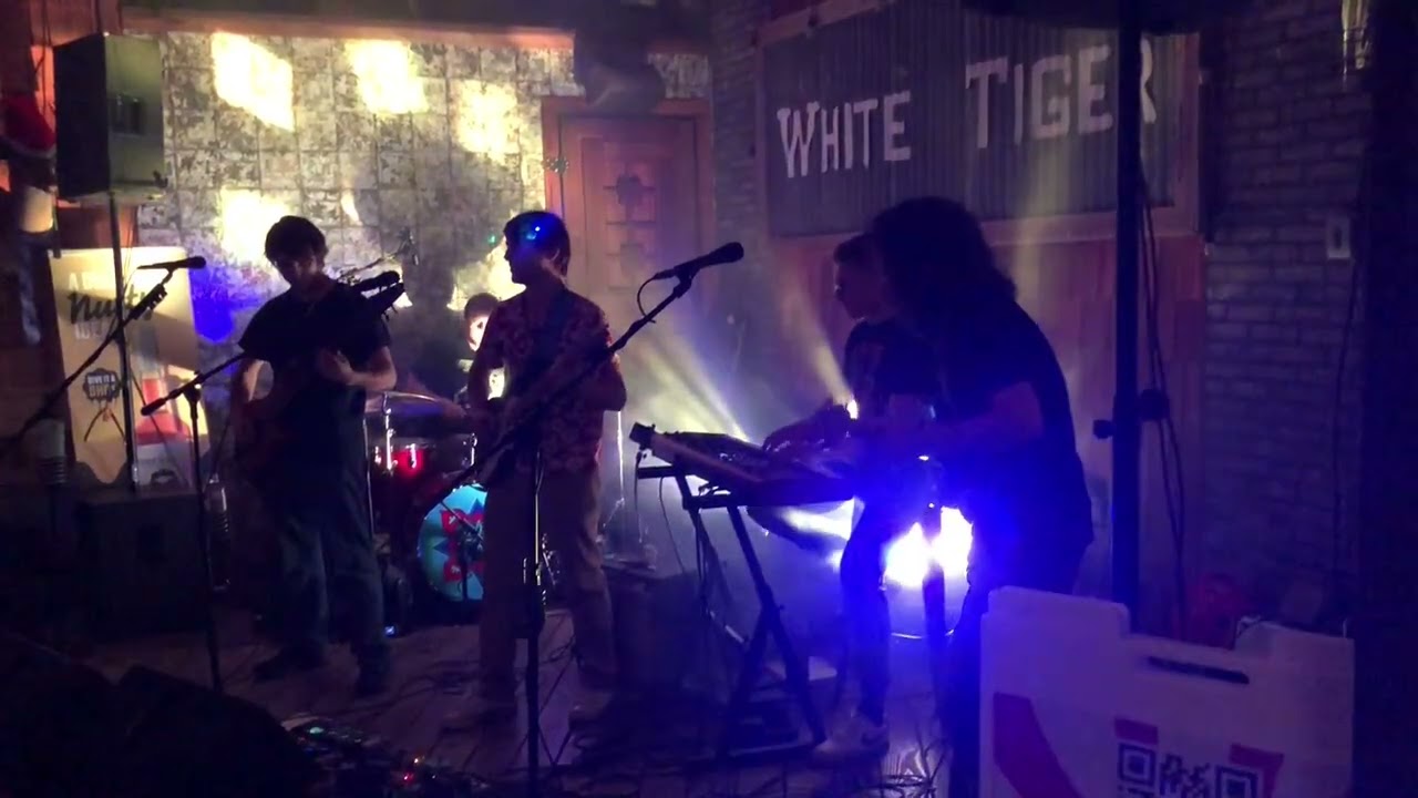 Top Rambler (02/28/2026 - White Tiger)