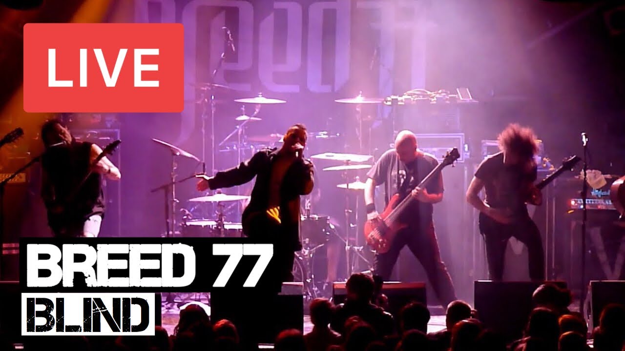 Breed 77 - Blind Live in [HD] @ Electric Ballroom - London 2012
