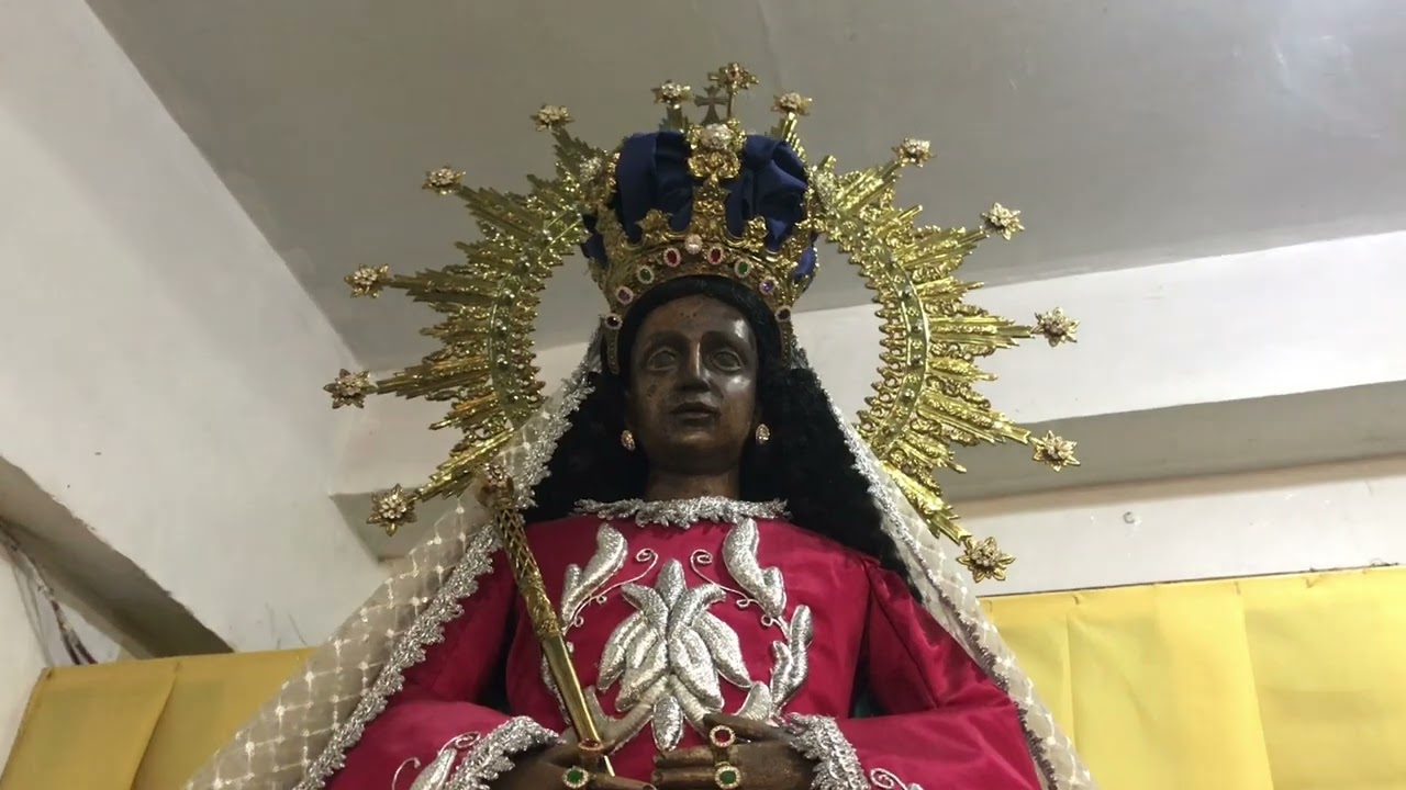 Noveleta Marian Exhibit 2022
