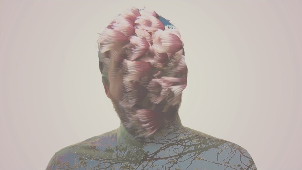 Datapanik - Road feat Ataniro (Official Video)