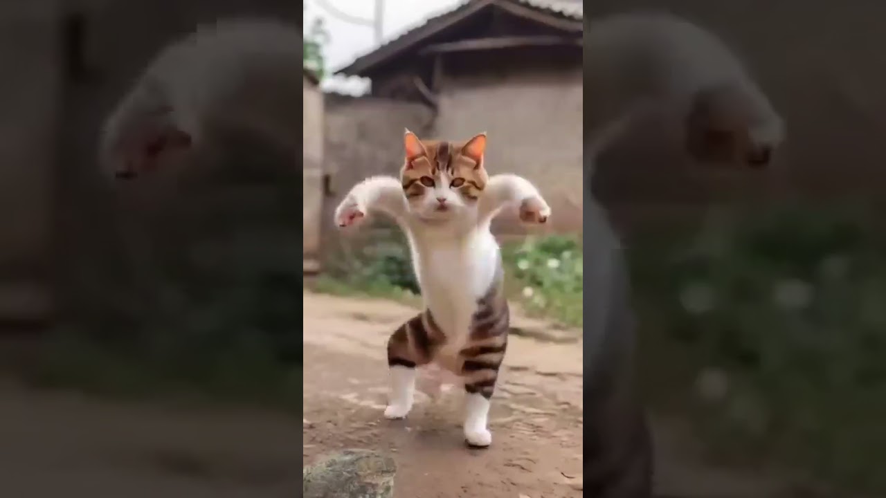 #comedy Tui Tui #Funny Video😆 #tui tui Best Comedy 💪 tui tui Must Watch Special New Video