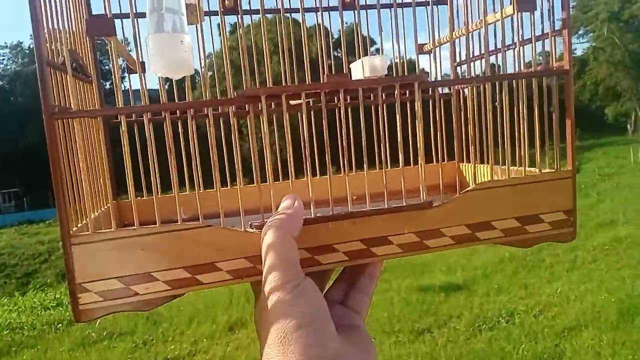 Saindo com meu coleira na praça