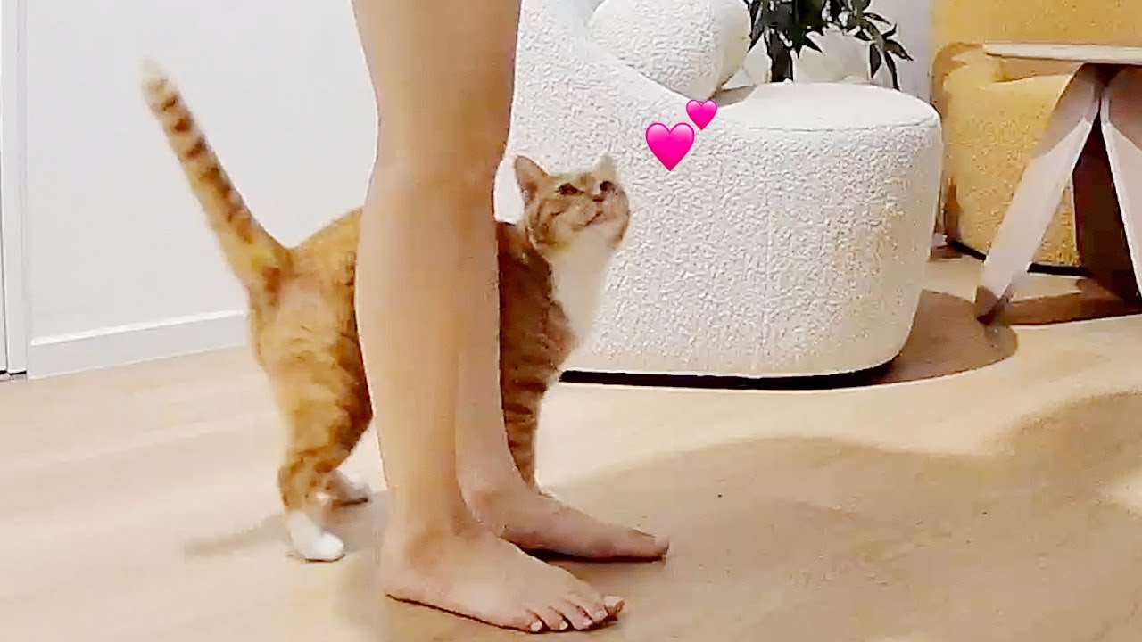 또 한번 나타난 오들이의 큰 변화