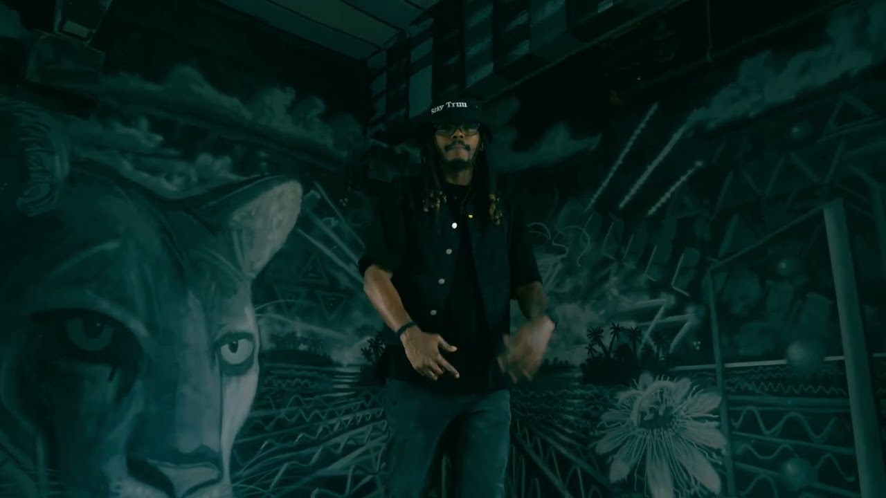 Steelo I.B.  - Whoamond Green Prod by Whoa1.0