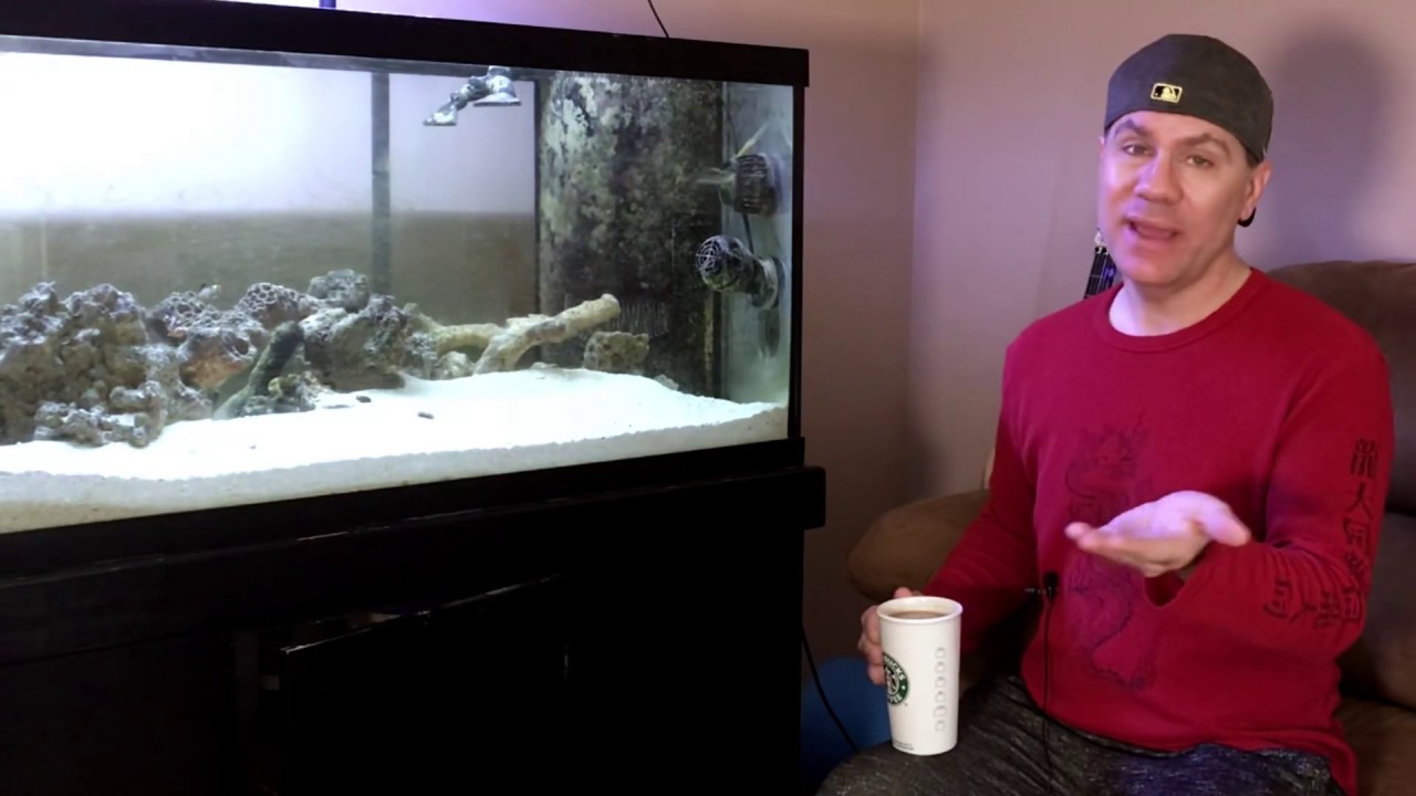 deep sandbed update: 180 pounds of sand in saltwater aquarium so far