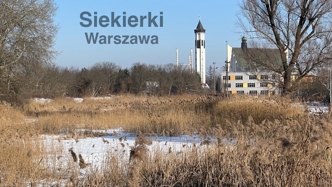 Zimowa przechadzka po Siekierkach w Warszawie (18 stycznia 2026 r.)