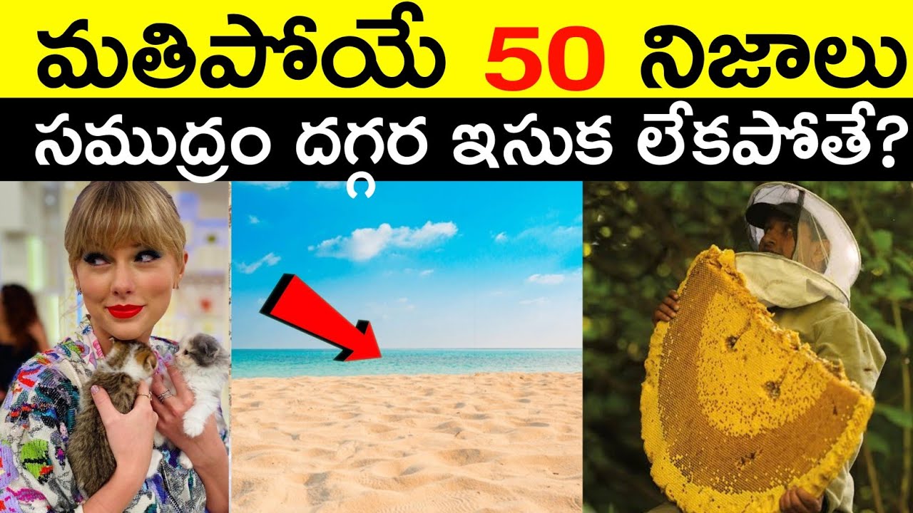 Top 50 Facts In Telugu Amazing & Unknown Facts | Interesting Facts in Telugu | Ep - 75