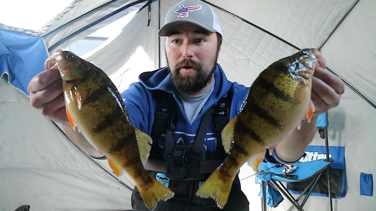 Mille Lacs Lake Jumbo Perch Are Back!