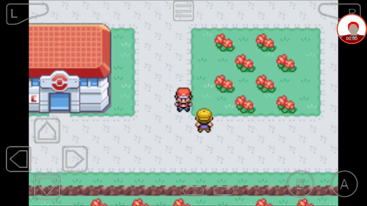 How to level up pokemon in FIRERED (rarecandy hack)