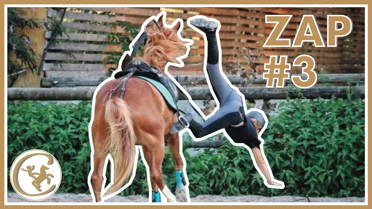 ZAP CHEVAL #3