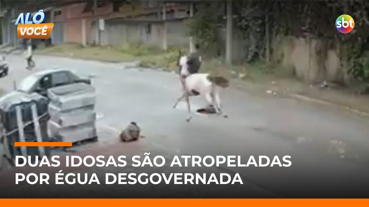 Idosas são atropeladas por égua desgovernada na Baixada Fluminense, no Rio | #AloVoce