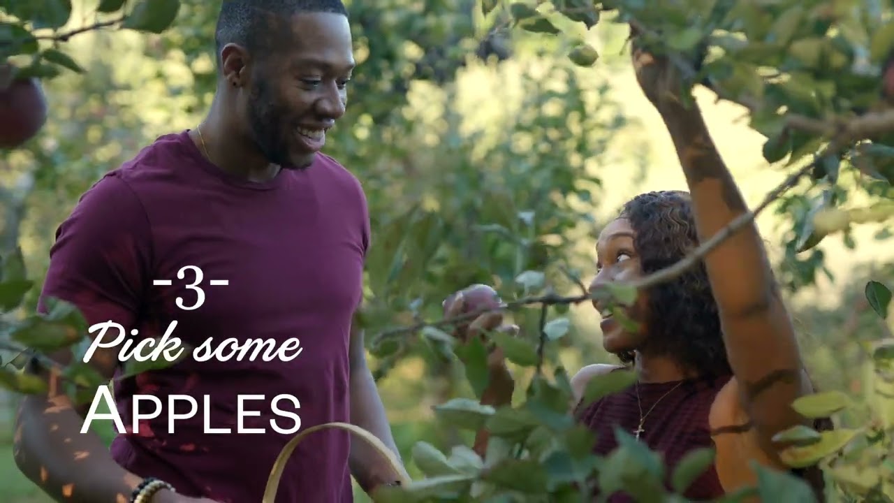 Top 5 Things in Blue Ridge (Fall Edition)