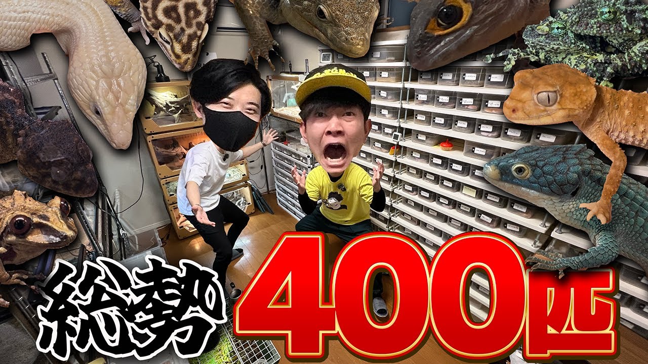 レアな爬虫類を集めまくる男の家がやばすぎた…