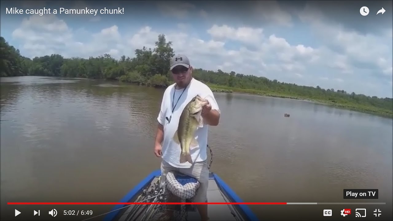 Mike caught a Pamunkey chunk!