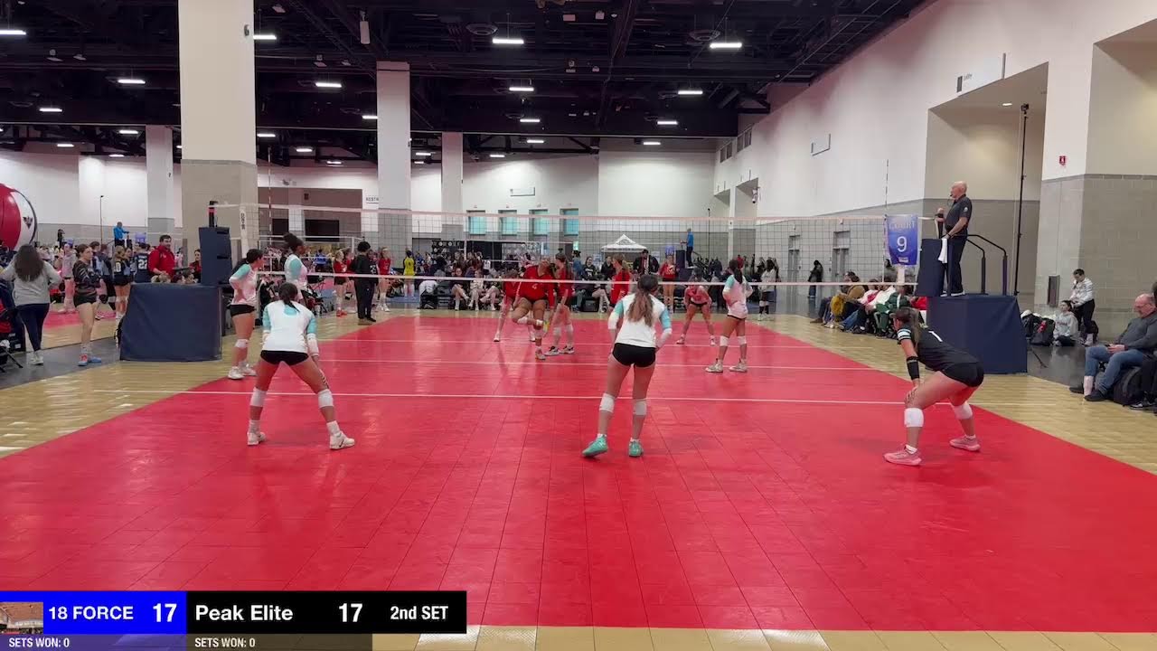 NET 18 Force Vs Peak Elite