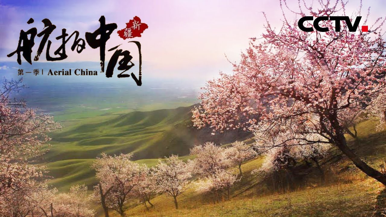 在伊犁河谷南面有一道风景绝美的杏花沟 漫山遍野的杏花美得动人心魄！《航拍中国》第一季 新疆【CCTV纪录】