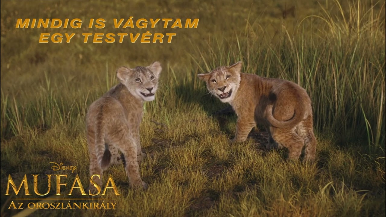 Mufasa - Az Oroszlánkirály - Mindig is vágytam egy testvért (I Always Wanted A Brother)